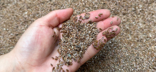 From Seed to Sheet: The Production of Linen