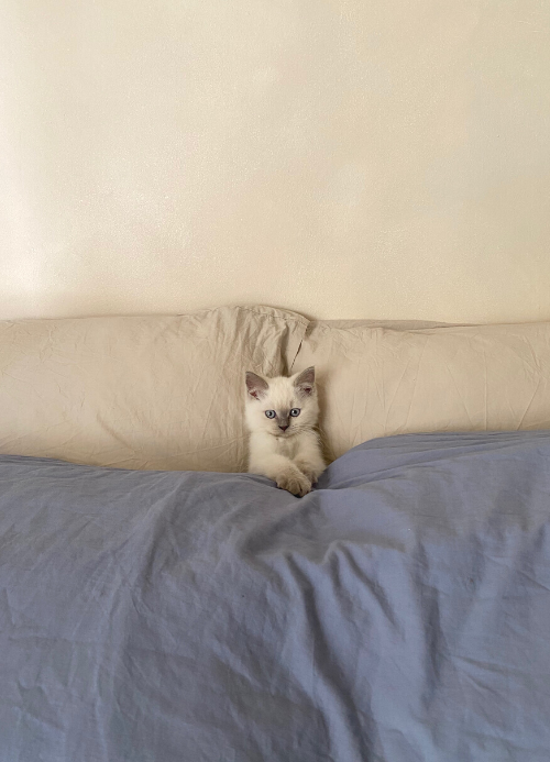 The Ultimate Cosy Gift Guide