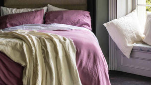 Raspberry Basic Bundle