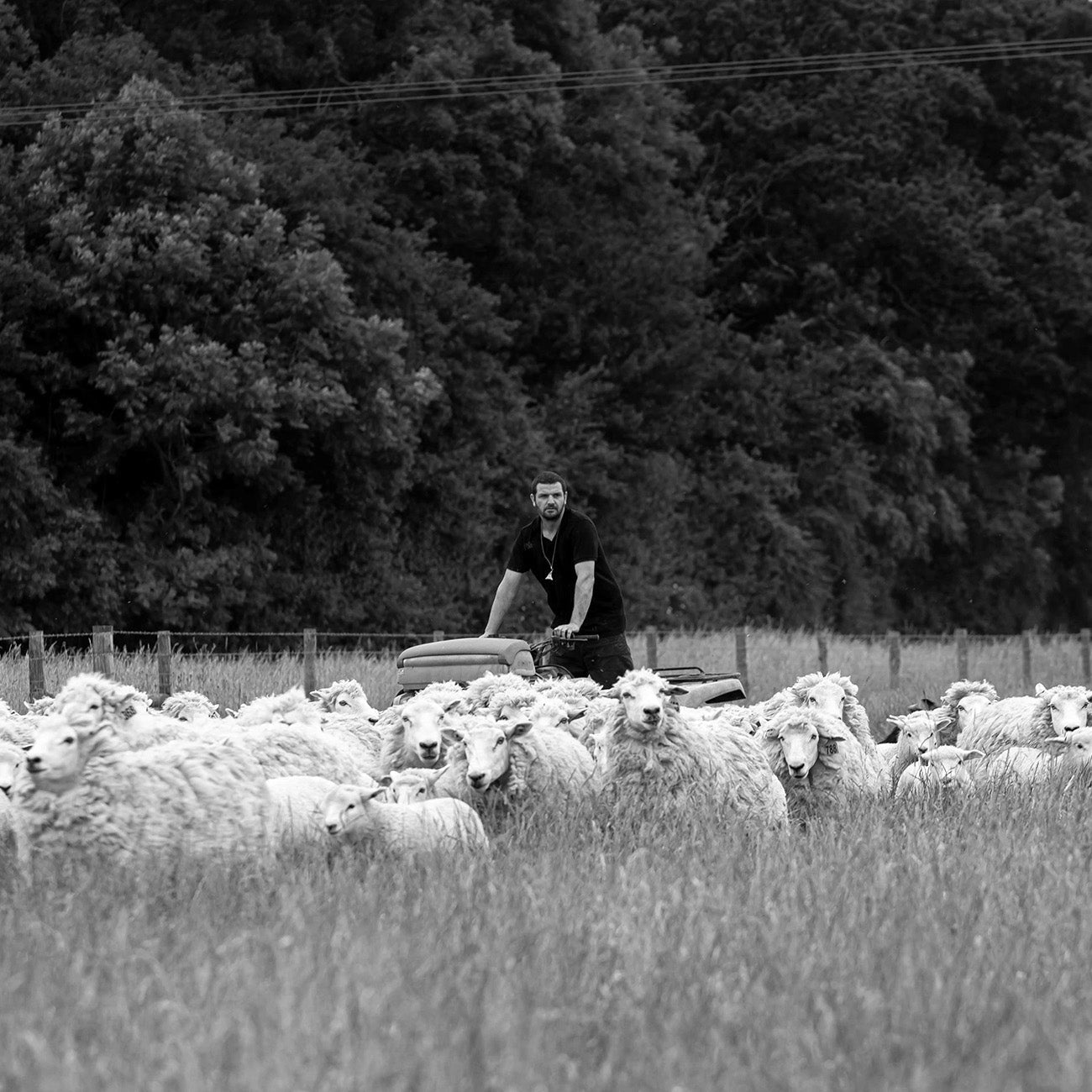 Hypnos Cotton Mattress